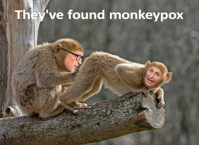 Name:  they_found_monkey_pox.png
Views: 0
Size:  491.3 KB