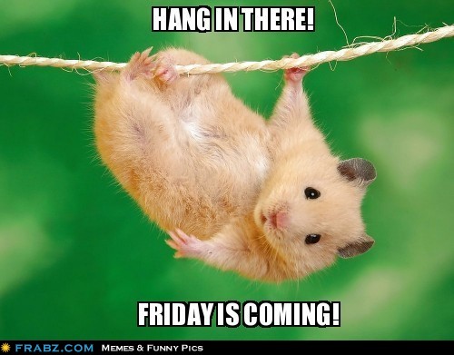 Name:  frabz-Hang-in-there-Friday-is-coming-e270d7.jpg
Views: 2457
Size:  48.0 KB