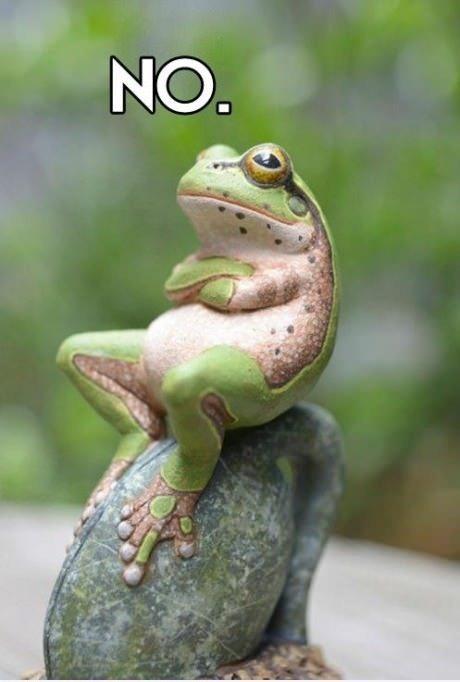 Name:  Frog-Say-No-Funny-Picture.jpg
Views: 0
Size:  31.6 KB