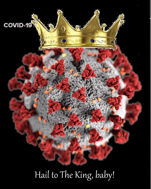 Name:  Coronavirus1.png
Views: 0
Size:  349.3 KB